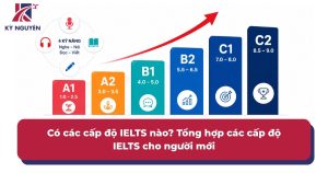 Các cấp độ ielts